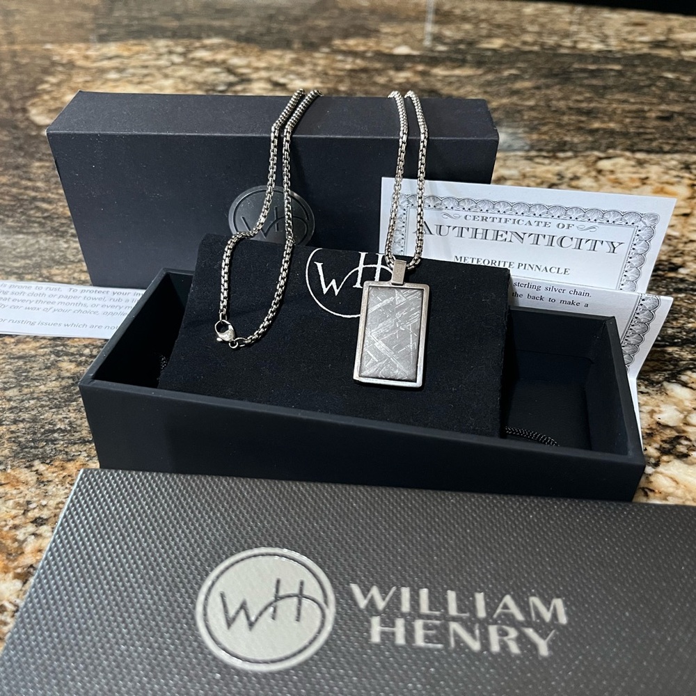 William Henry P43 Meteorite!!! Beautiful Piece.